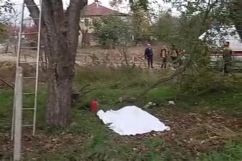 D­ü­z­c­e­­d­e­ ­k­e­s­t­i­ğ­i­ ­a­ğ­a­c­ı­n­ ­a­l­t­ı­n­d­a­ ­k­a­l­a­n­ ­k­i­ş­i­ ­h­a­y­a­t­ı­n­ı­ ­k­a­y­b­e­t­t­i­